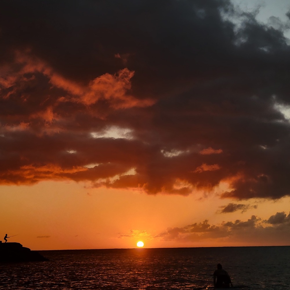 Meet your Posher, Glenda